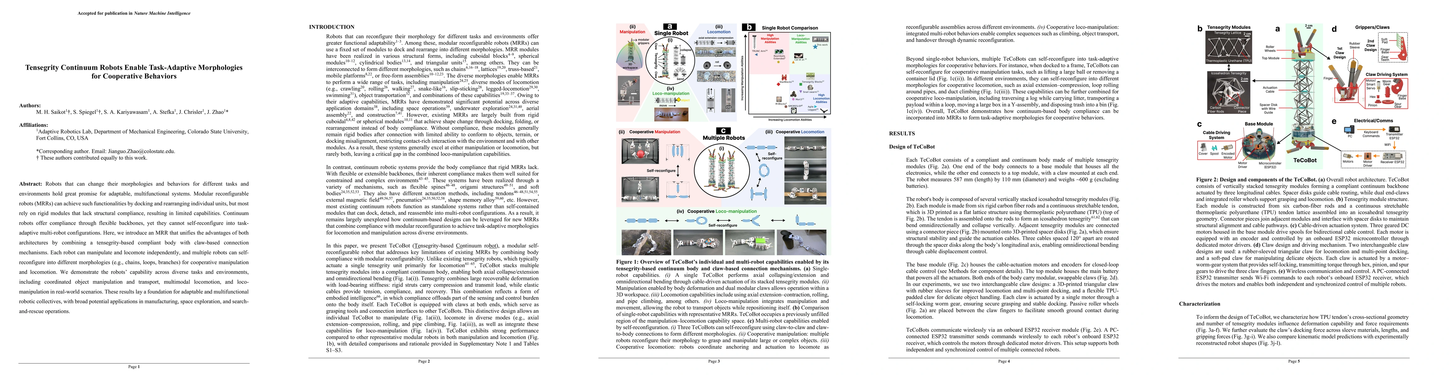 Thumbnail for Tensegrity Continuum Robots Enable Task-Adaptive Morphologies for Cooperative Behaviors