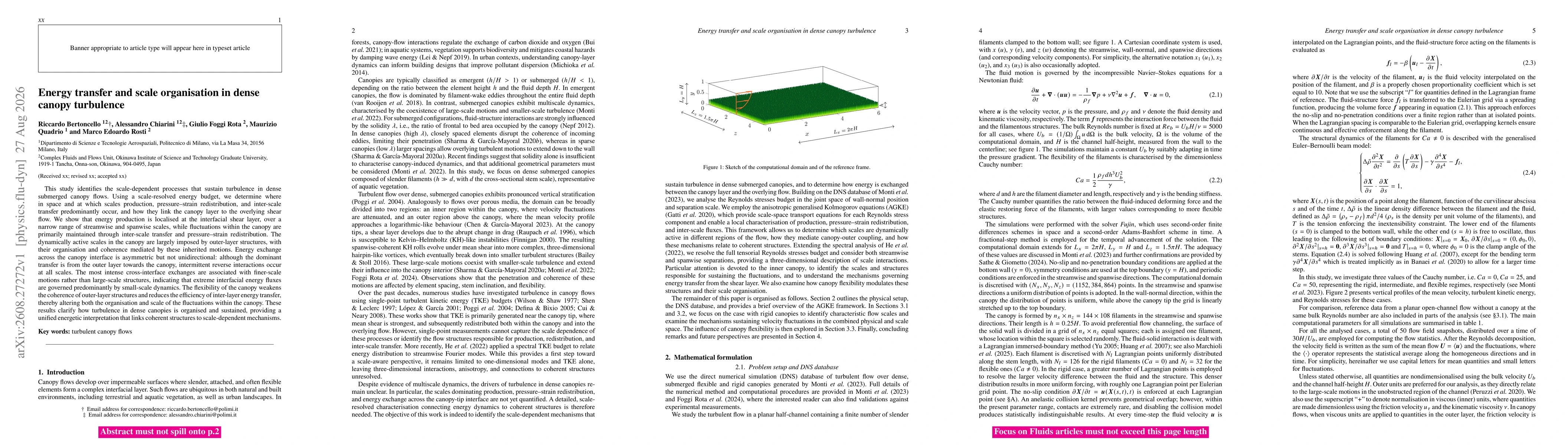 Thumbnail for Energy transfer and scale organisation in dense canopy turbulence