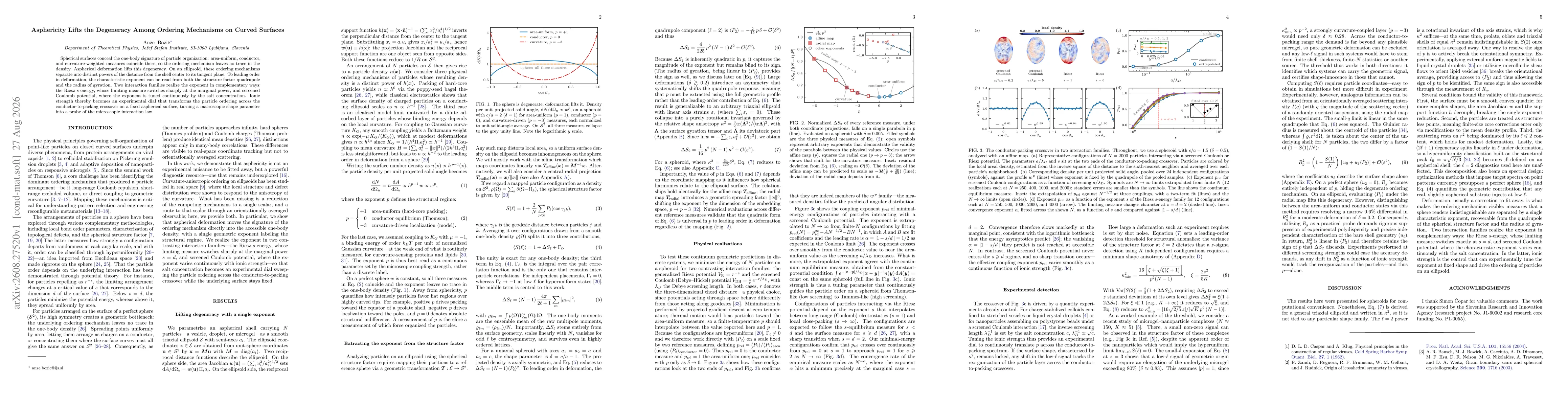 Thumbnail for Asphericity Lifts the Degeneracy Among Ordering Mechanisms on Curved Surfaces