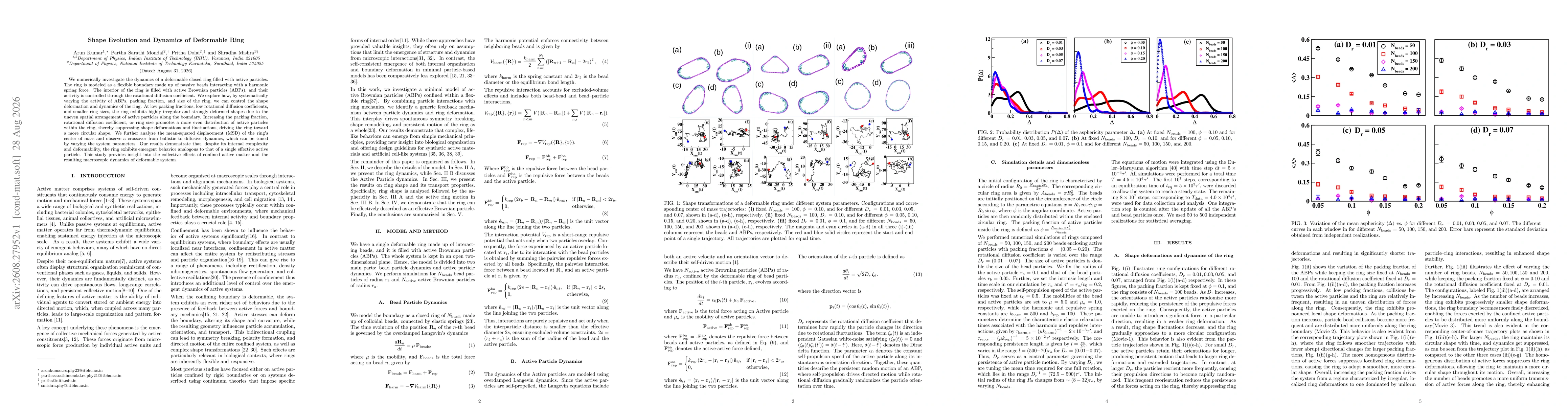 Thumbnail for Shape Evolution and Dynamics of Deformable Ring