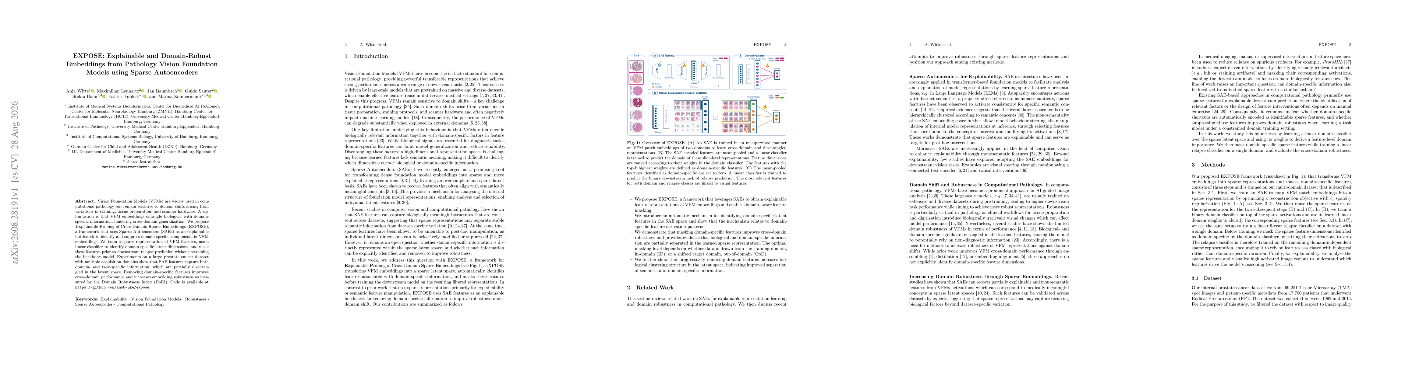 Thumbnail for EXPOSE: Explainable and Domain-Robust Embeddings from Pathology Vision Foundation Models using Sparse Autoencoders