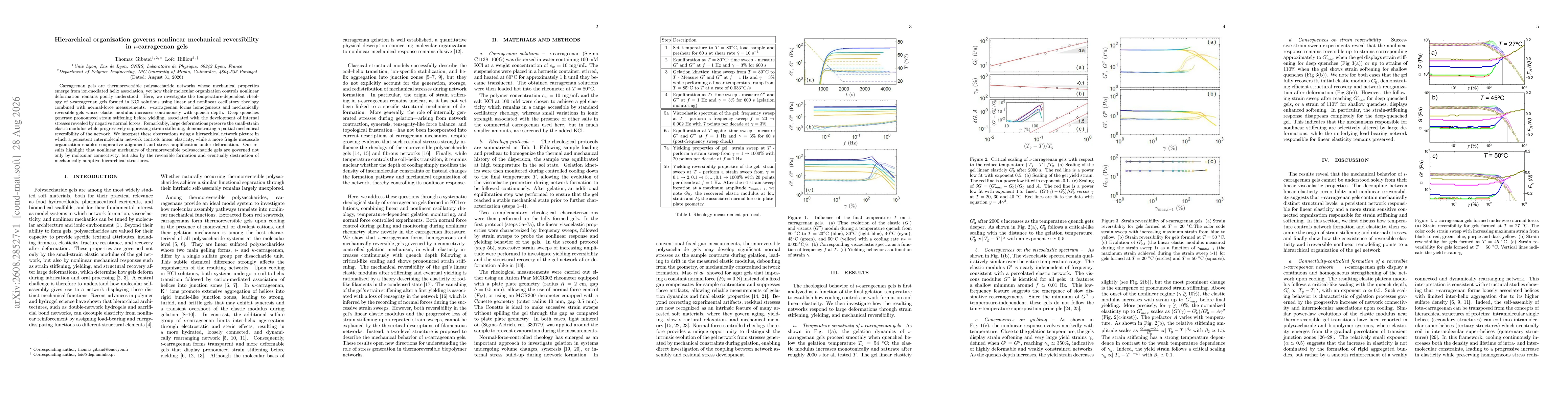 Thumbnail for Hierarchical organization governs nonlinear mechanical reversibility in $ι$-carrageenan gels