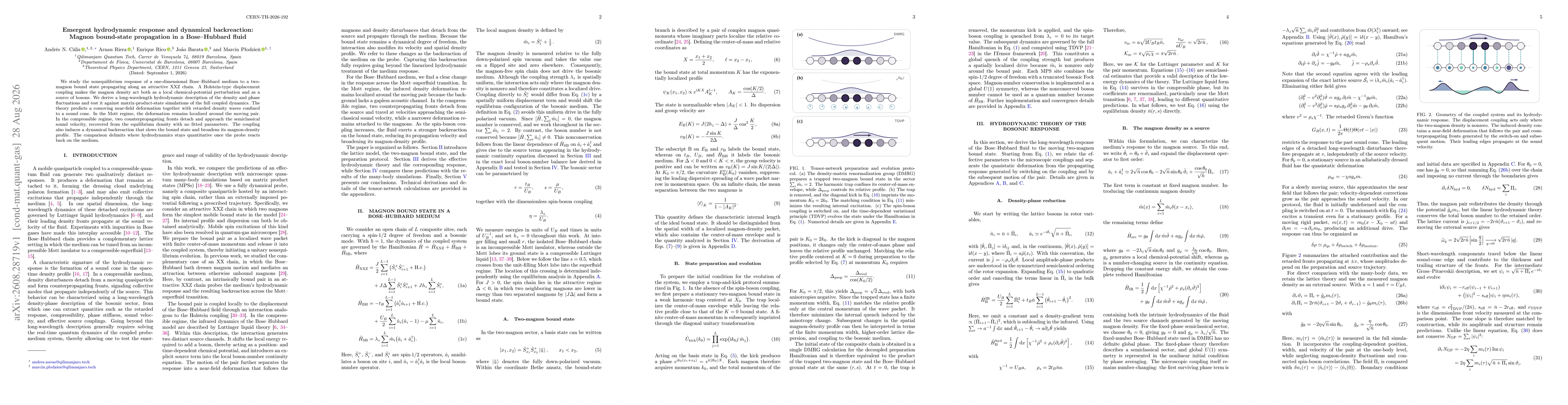 Thumbnail for Emergent hydrodynamic response and dynamical backreaction: Magnon bound-state propagation in a Bose-Hubbard fluid