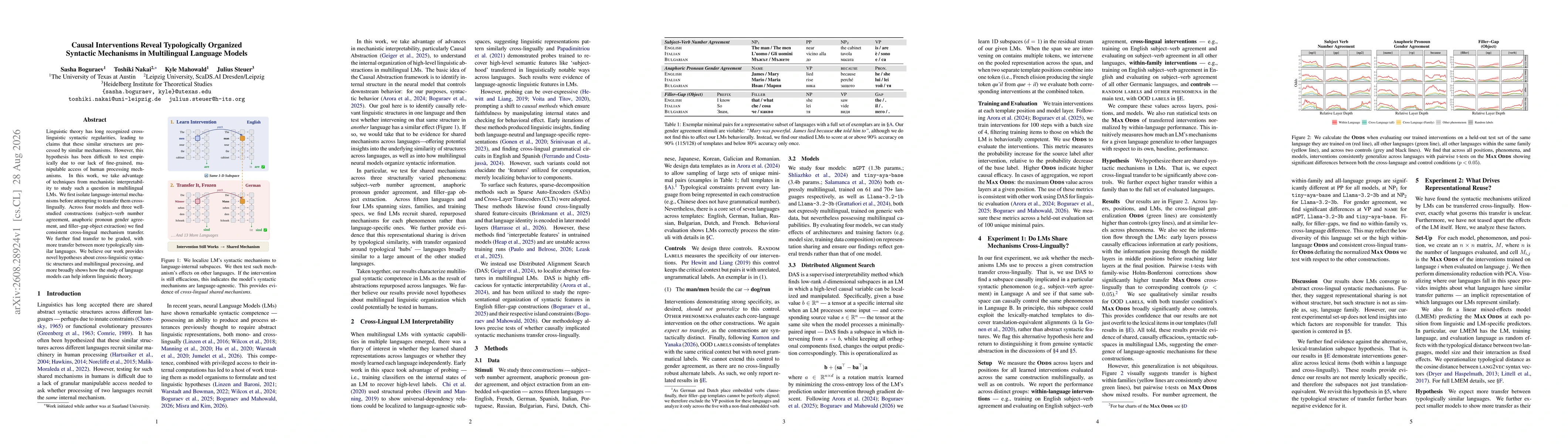 Thumbnail for Causal Interventions Reveal Typologically Organized Syntactic Mechanisms in Multilingual Language Models