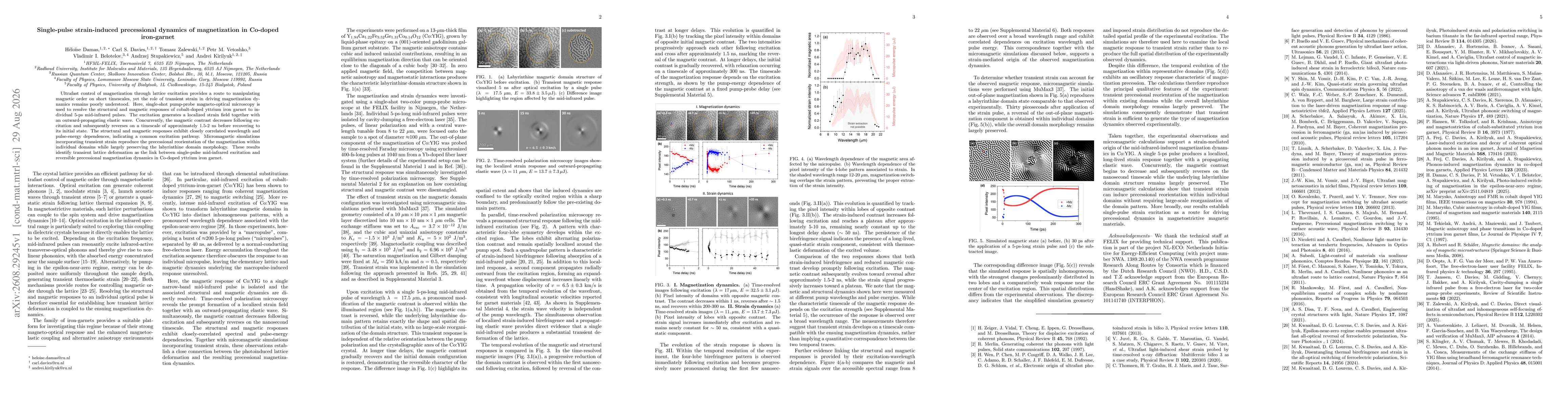 Thumbnail for Single-pulse strain-induced precessional dynamics of magnetization in Co-doped iron garnet