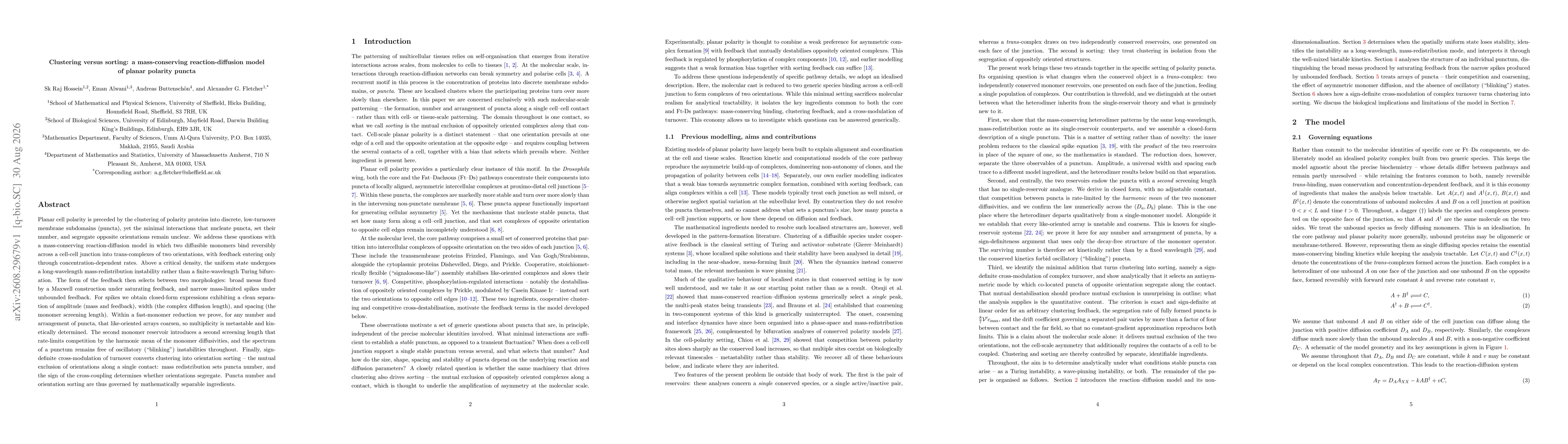 Thumbnail for Clustering versus sorting: a mass-conserving reaction-diffusion model of planar polarity puncta