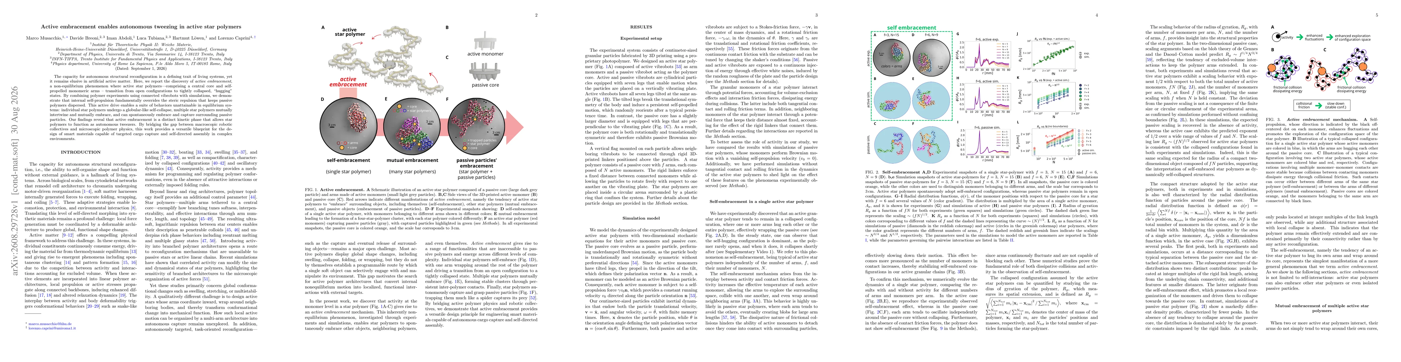 Thumbnail for Active embracement enables autonomous tweezing in active star polymers
