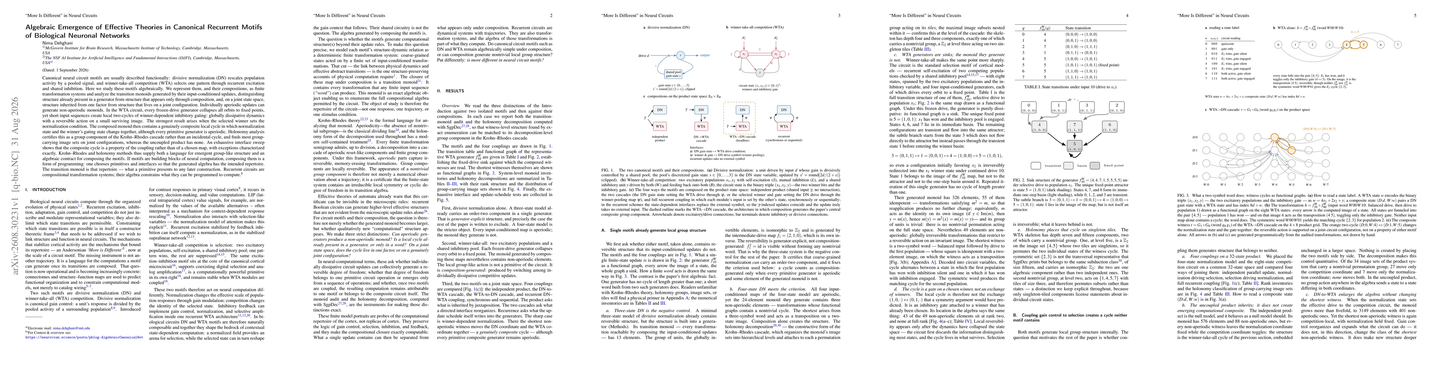 Thumbnail for "More Is Different'' in Neural Circuits: Algebraic Emergence of Effective Theories in Canonical Recurrent Motifs of Biological Neuronal Networks