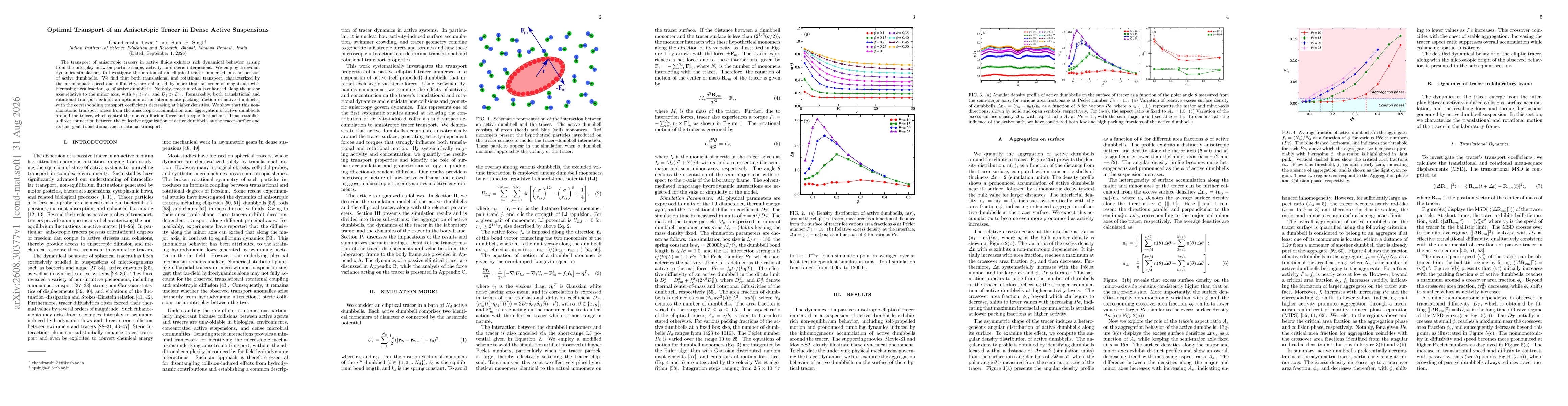 Thumbnail for Optimal Transport of an Anisotropic Tracer in Dense Active Suspensions