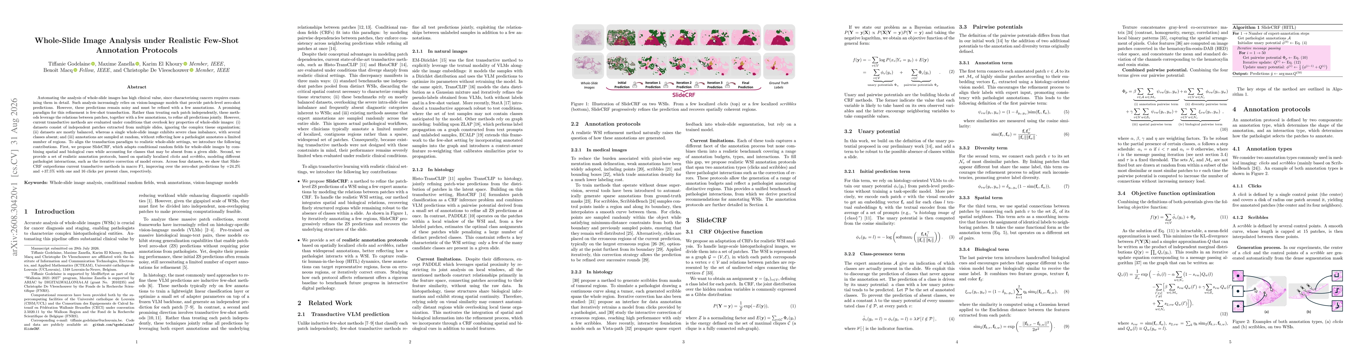 Thumbnail for Whole-Slide Image Analysis under Realistic Few-Shot Annotation Protocols