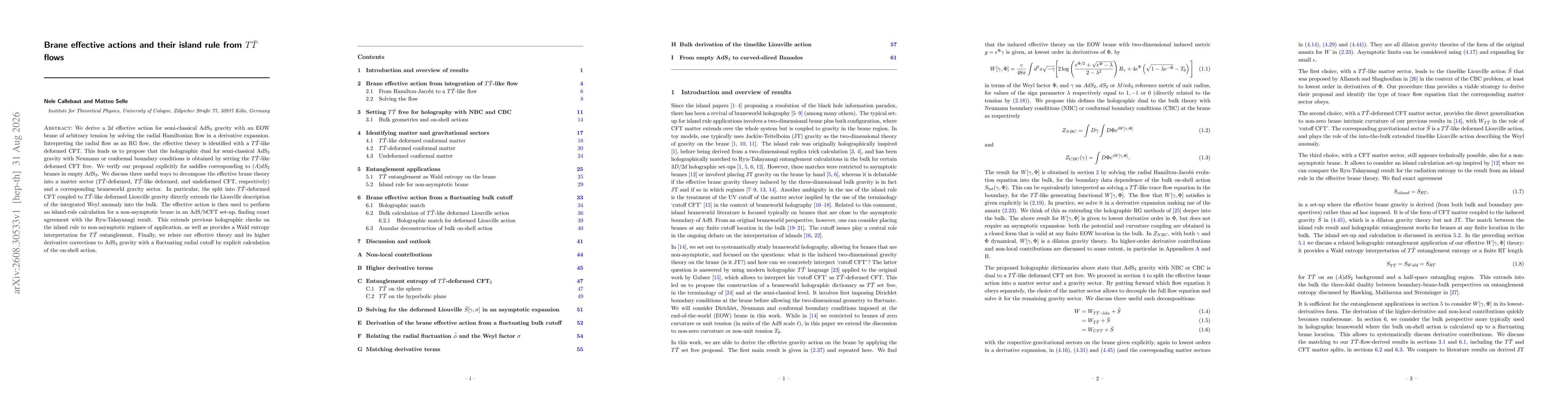 Thumbnail for Brane effective actions and their island rule from $T\overline T$ flows