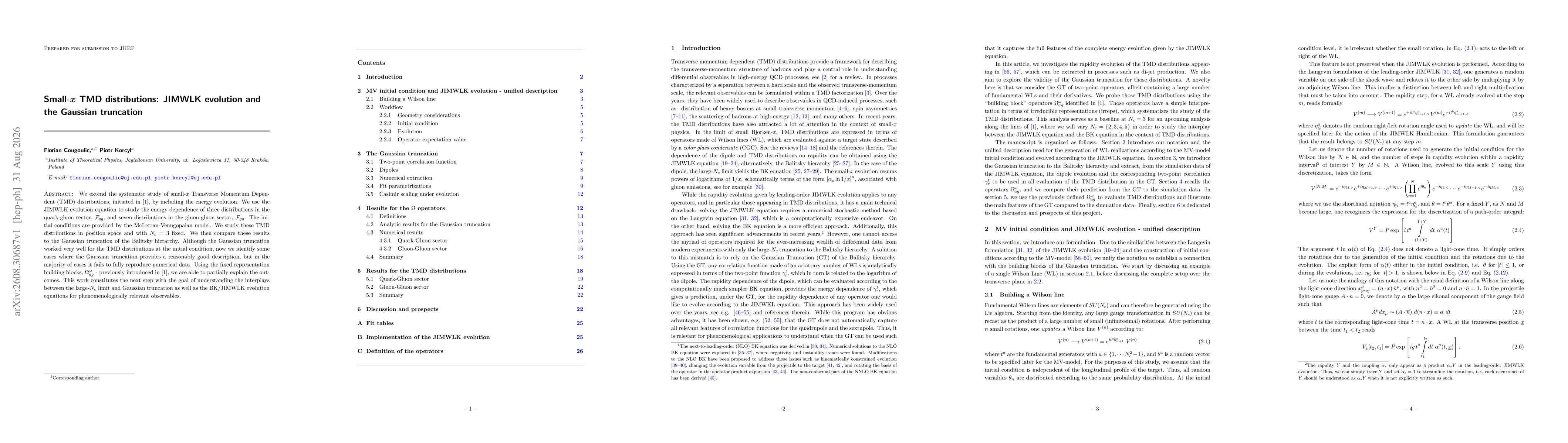 Thumbnail for Small-x TMD distributions: JIMWLK evolution and the Gaussian truncation