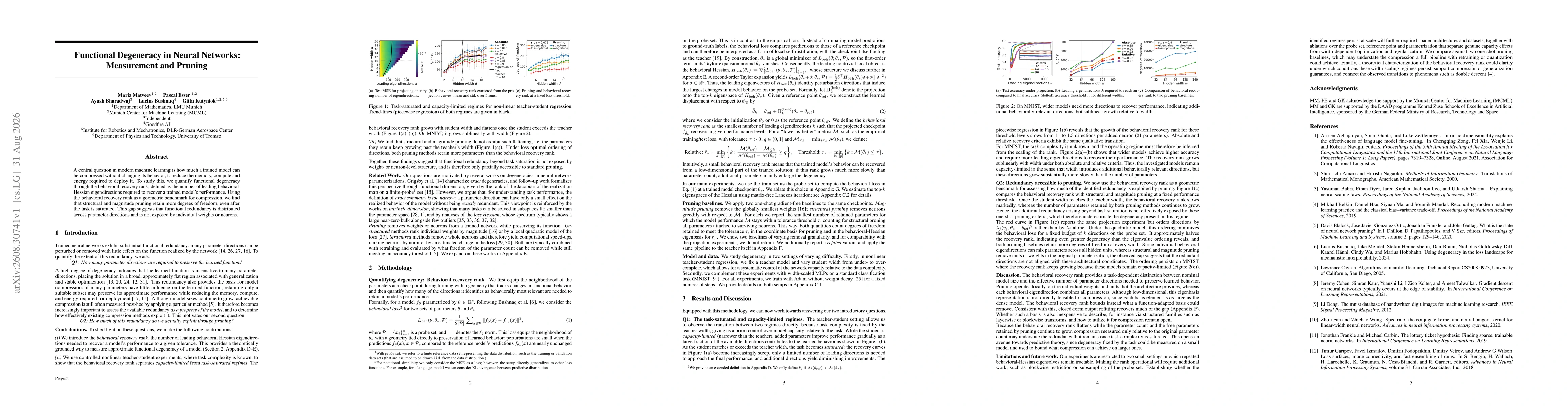 Thumbnail for Functional Degeneracy in Neural Networks: Measurement and Pruning