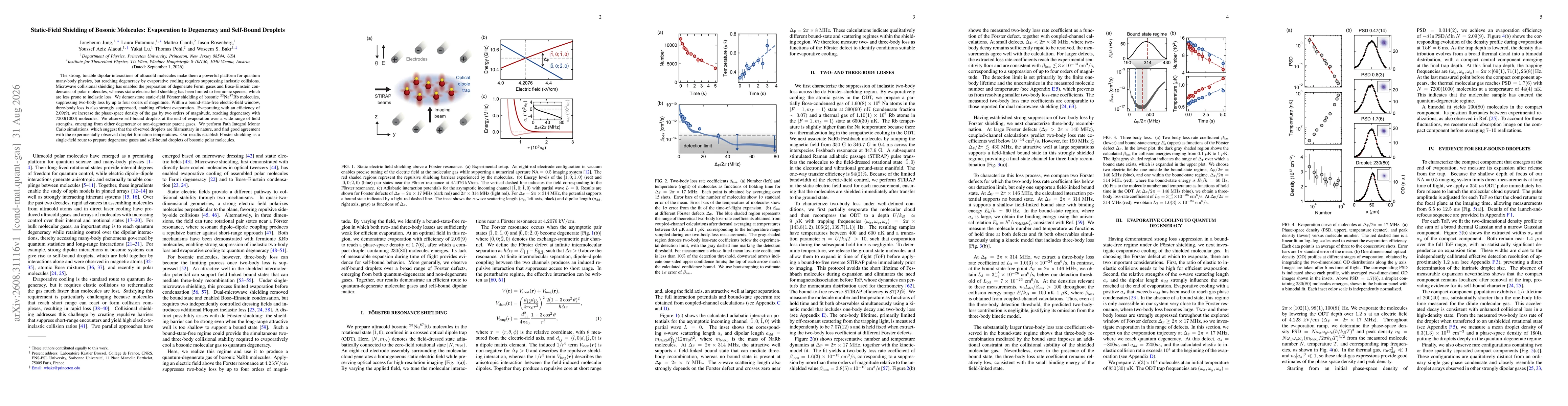 Thumbnail for Static-Field Shielding of Bosonic Molecules: Evaporation to Degeneracy and Self-Bound Droplets