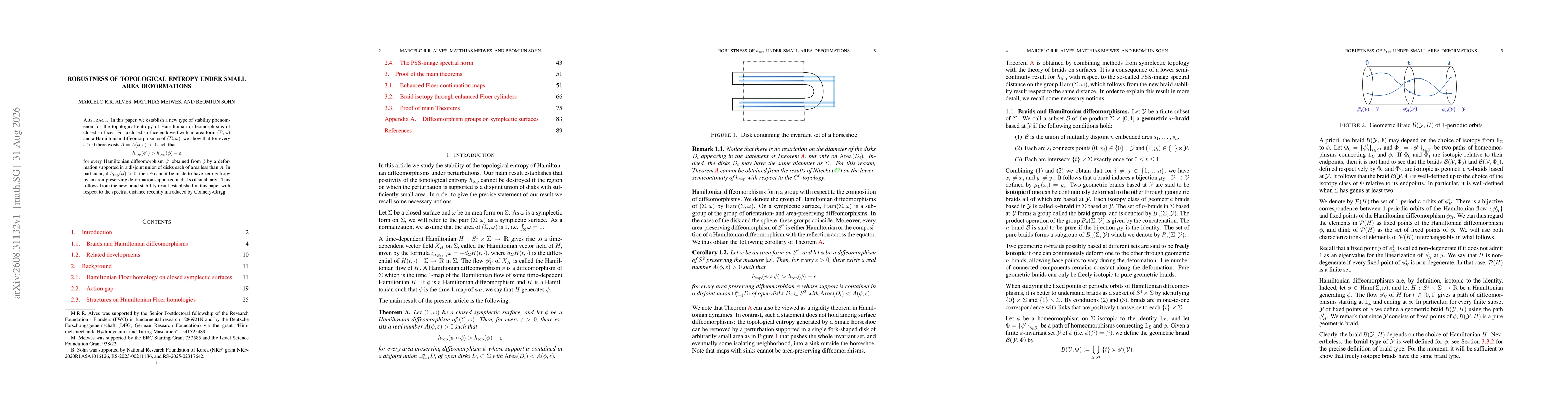 Thumbnail for Robustness of topological entropy under small area deformations