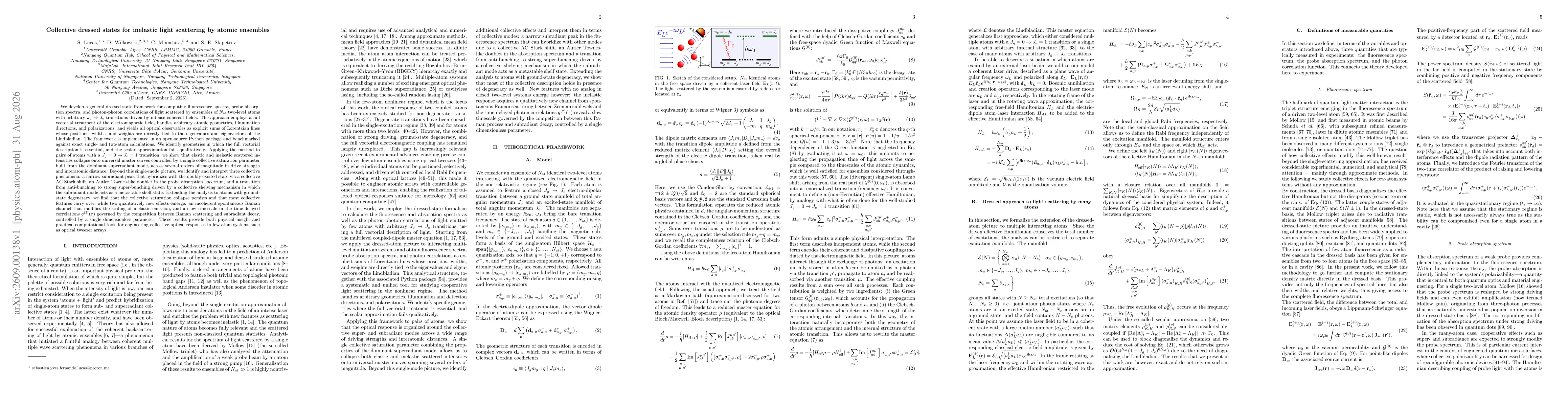 Thumbnail for Collective dressed states for inelastic light scattering by atomic ensembles