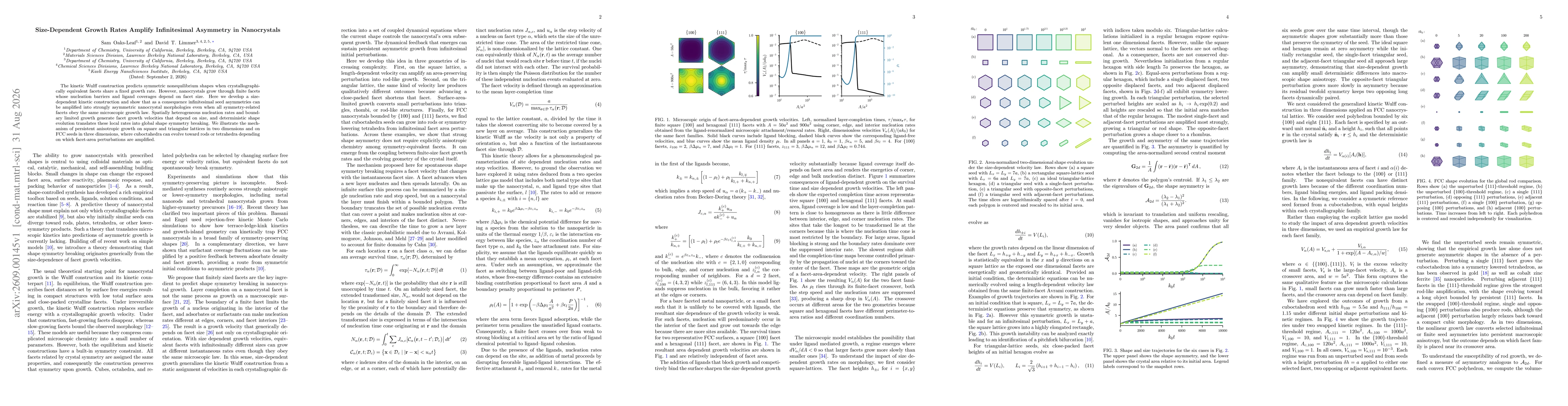 Thumbnail for Size-Dependent Growth Rates Amplify Infinitesimal Asymmetry in Nanocrystals