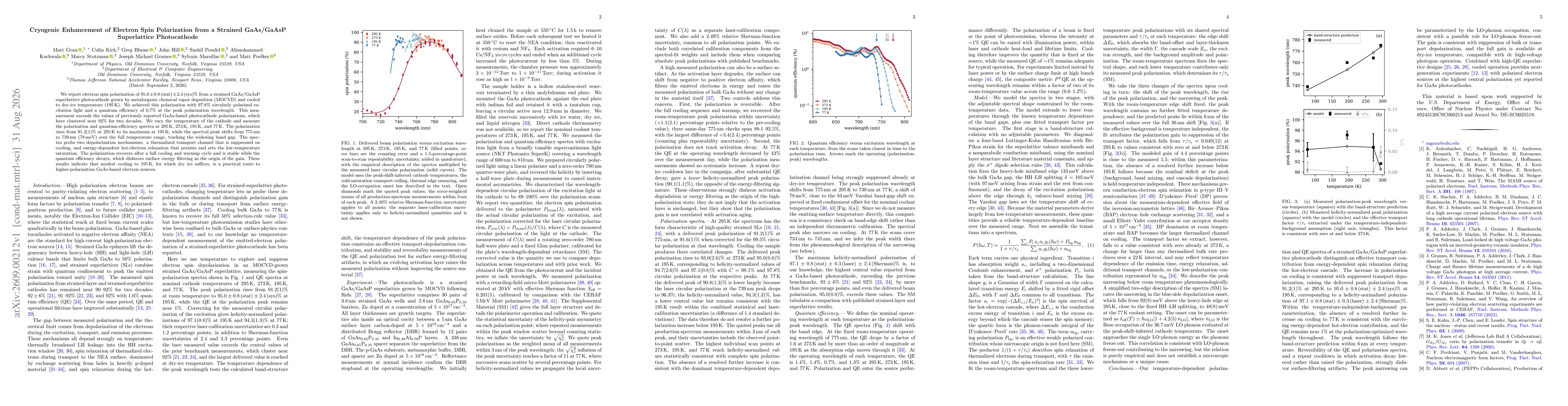 Thumbnail for Cryogenic Enhancement of Electron Spin Polarization from a Strained GaAs/GaAsP Superlattice Photocathode
