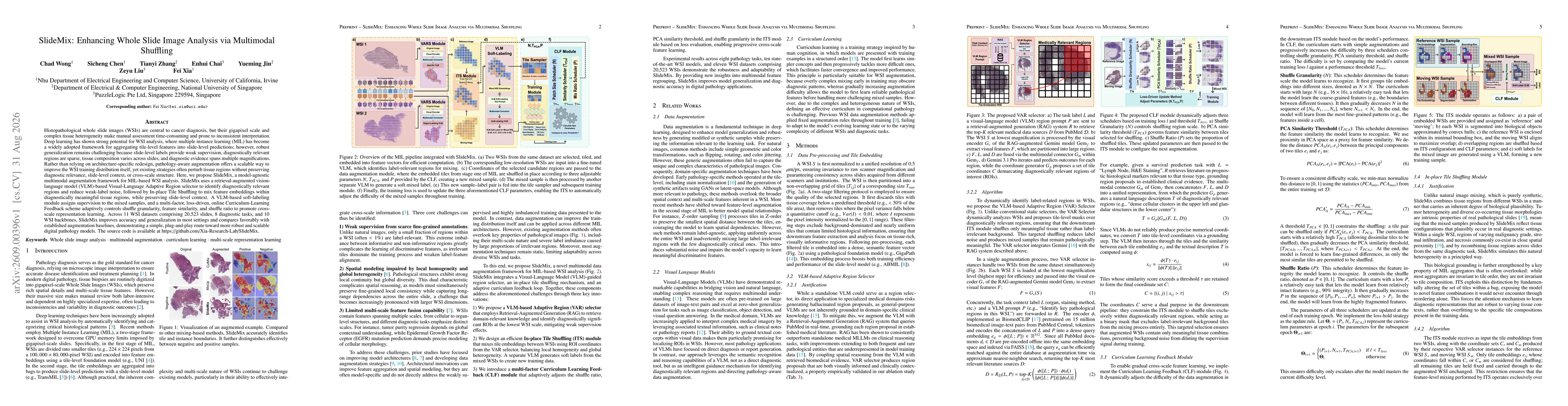 Thumbnail for SlideMix: Enhancing Whole Slide Image Analysis via Multimodal Shuffling