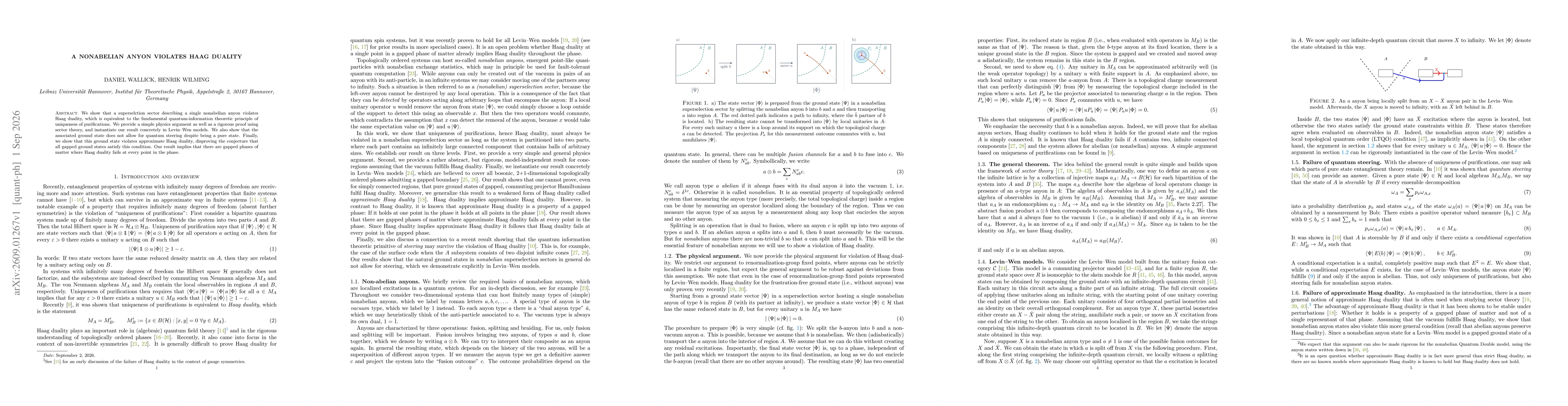 Thumbnail for A nonabelian anyon violates Haag duality