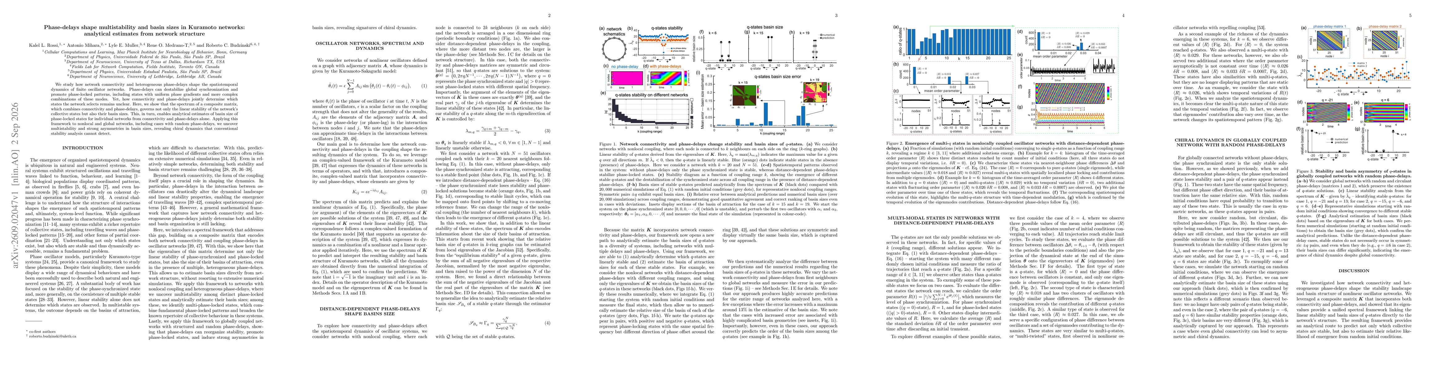 Thumbnail for Phase-delays shape multistability and basin sizes in Kuramoto networks: analytical estimates from network structure