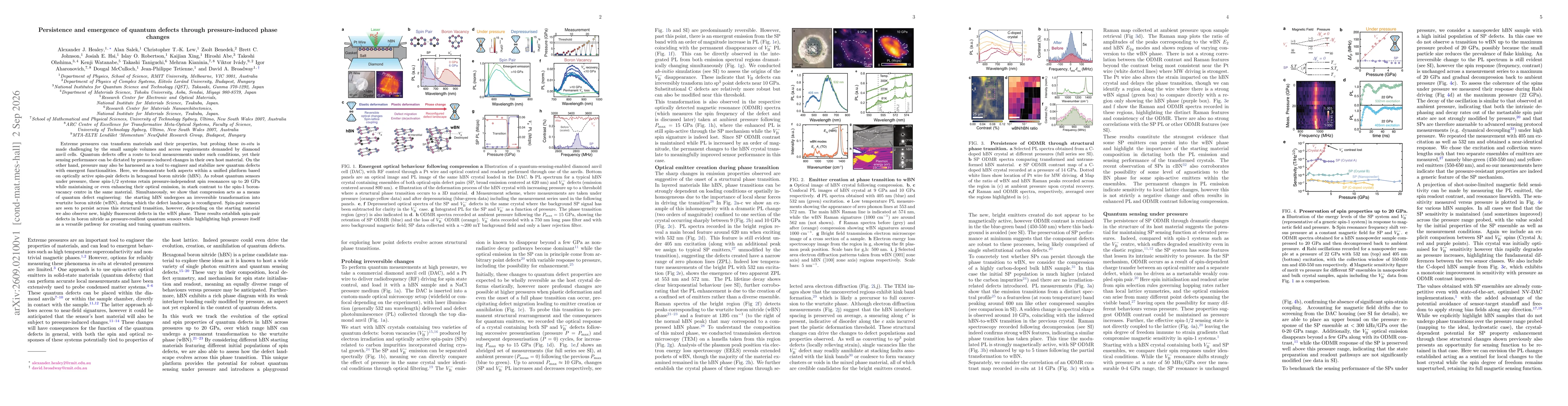 Thumbnail for Persistence and emergence of quantum defects through pressure-induced phase changes