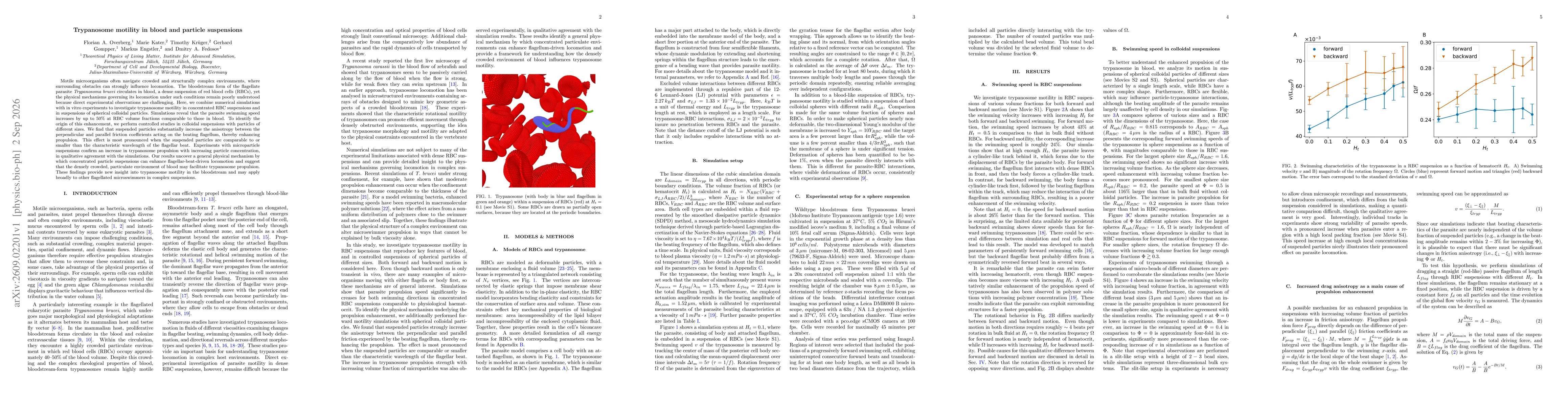 Thumbnail for Trypanosome motility in blood and particle suspensions
