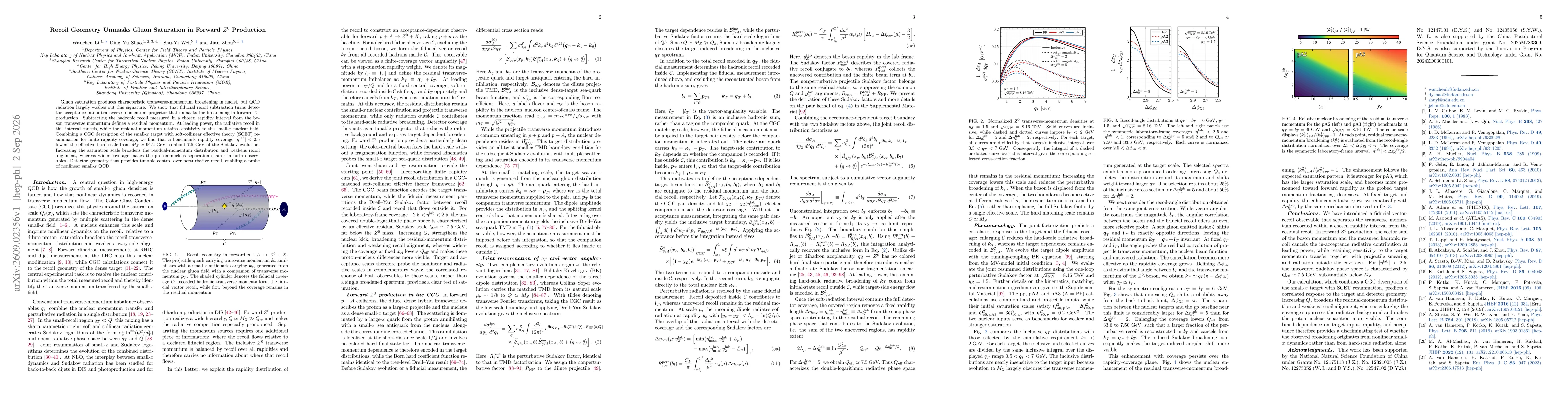 Thumbnail for Recoil Geometry Unmasks Gluon Saturation in Forward $Z^0$ Production