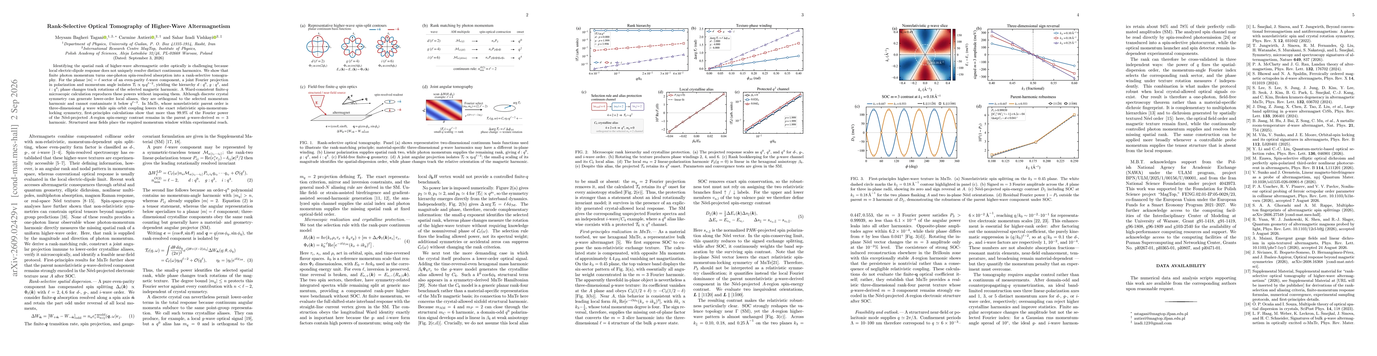 Thumbnail for Rank-Selective Optical Tomography of Higher-Wave Altermagnetism