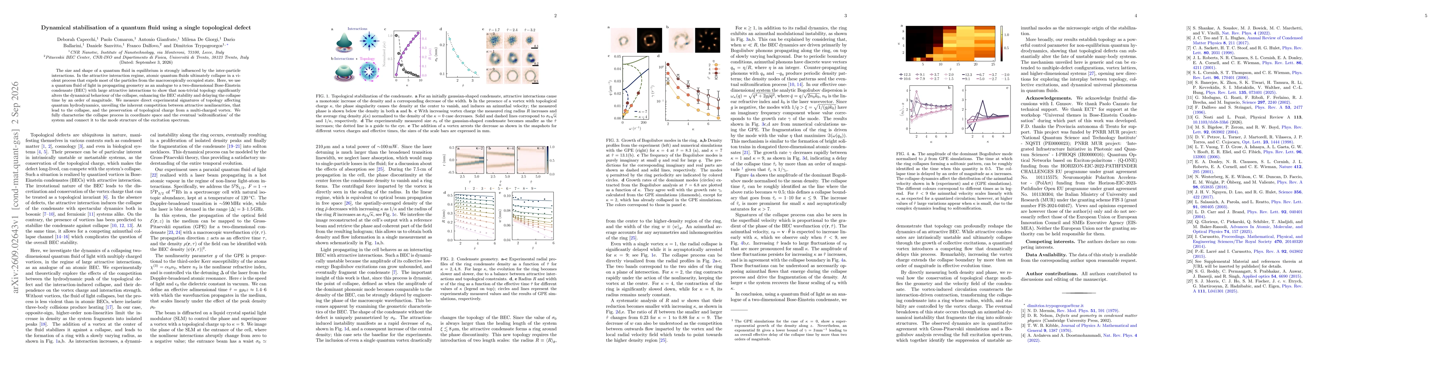 Thumbnail for Dynamical stabilisation of a quantum fluid using a single topological defect