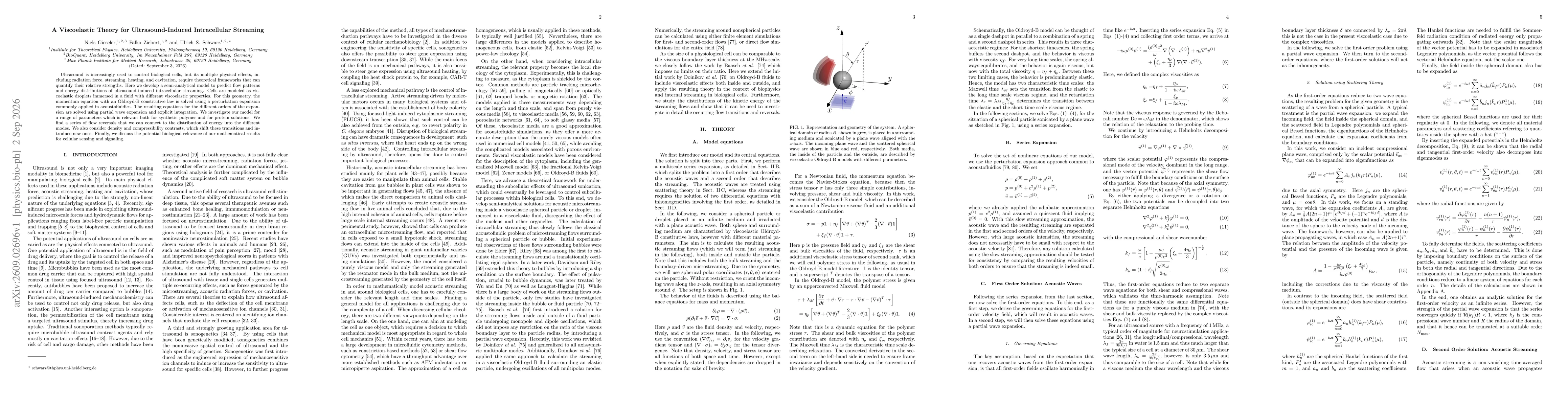 Thumbnail for A viscoelastic theory for ultrasound-induced intracellular streaming