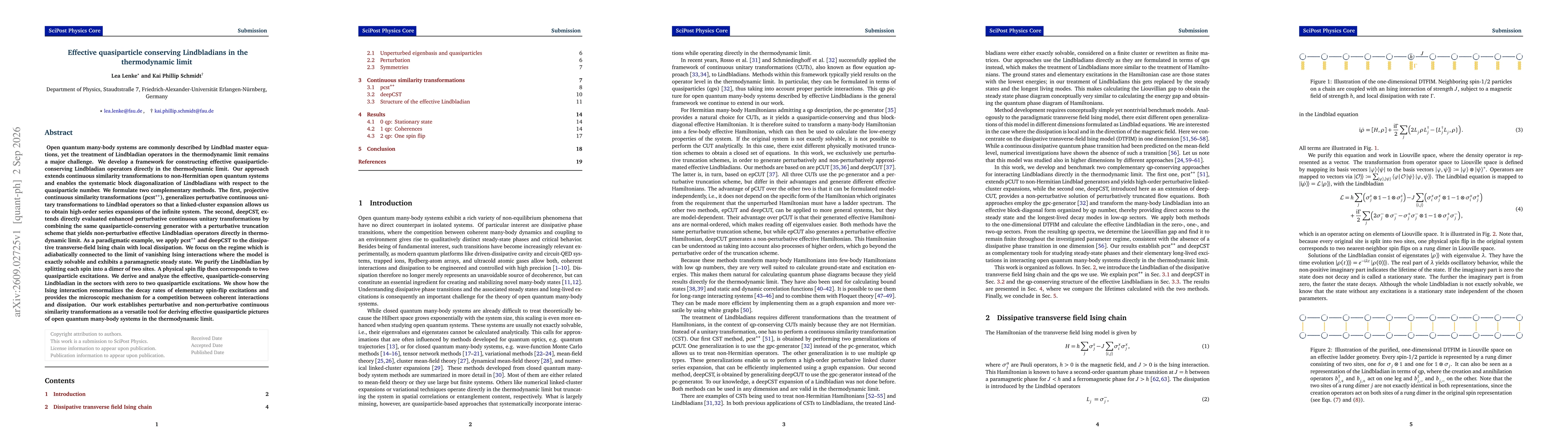 Thumbnail for Effective quasiparticle conserving Lindbladians in the thermodynamic limit