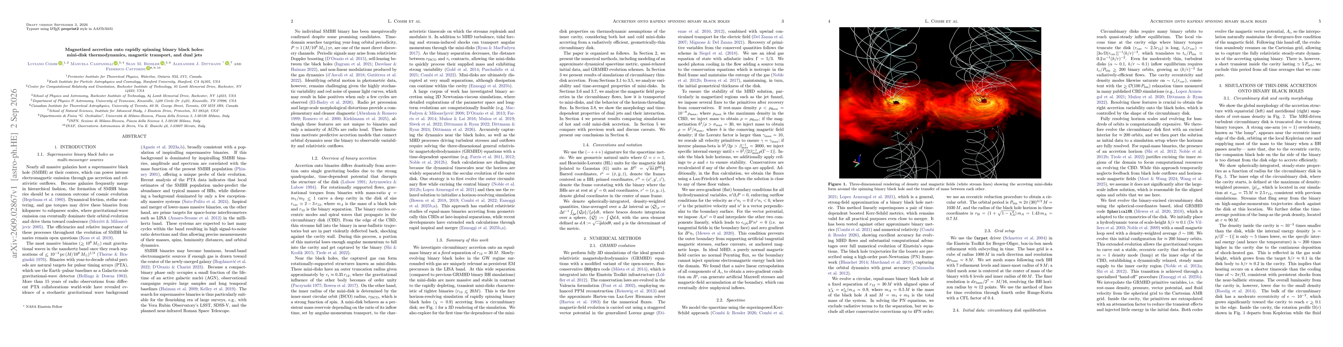 Thumbnail for Magnetized accretion onto rapidly spinning binary black holes: mini-disk thermodynamics, magnetic transport, and dual jets