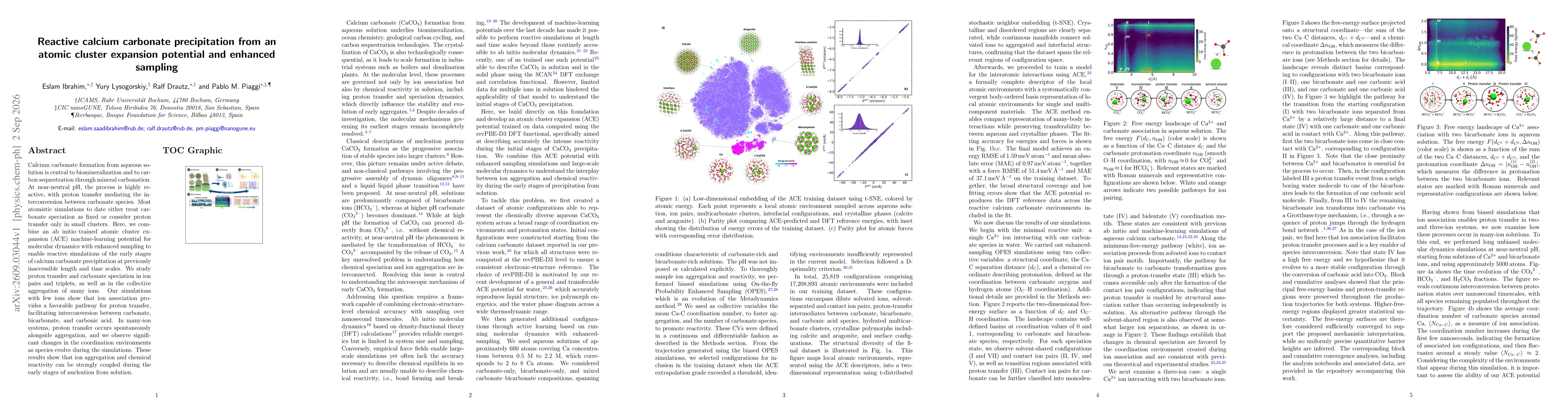Thumbnail for Reactive calcium carbonate precipitation from an atomic cluster expansion potential and enhanced sampling
