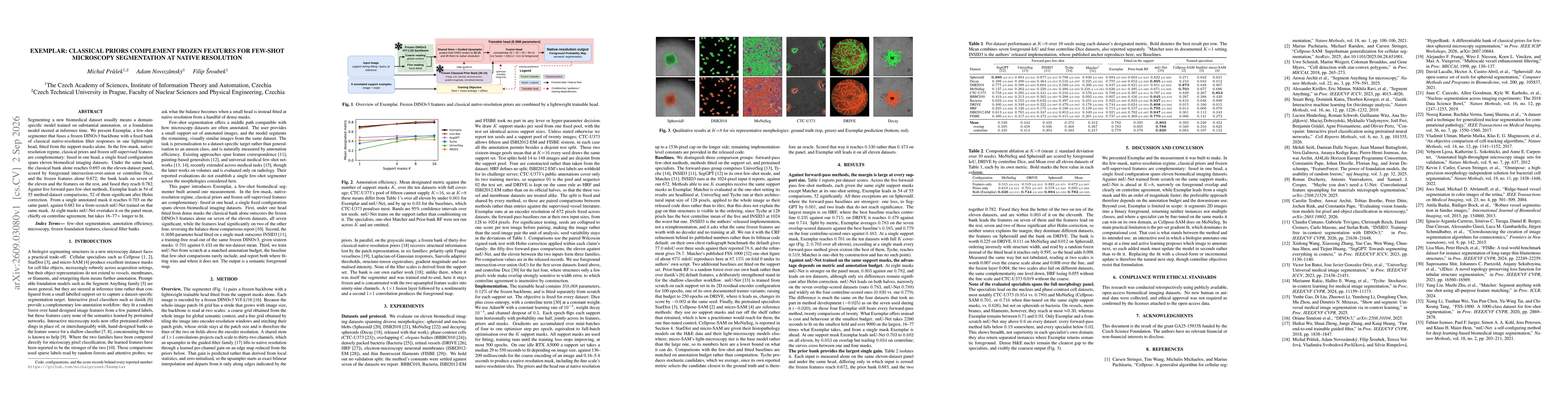 Thumbnail for Exemplar: Classical Priors Complement Frozen Features for Few-Shot Microscopy Segmentation at Native Resolution