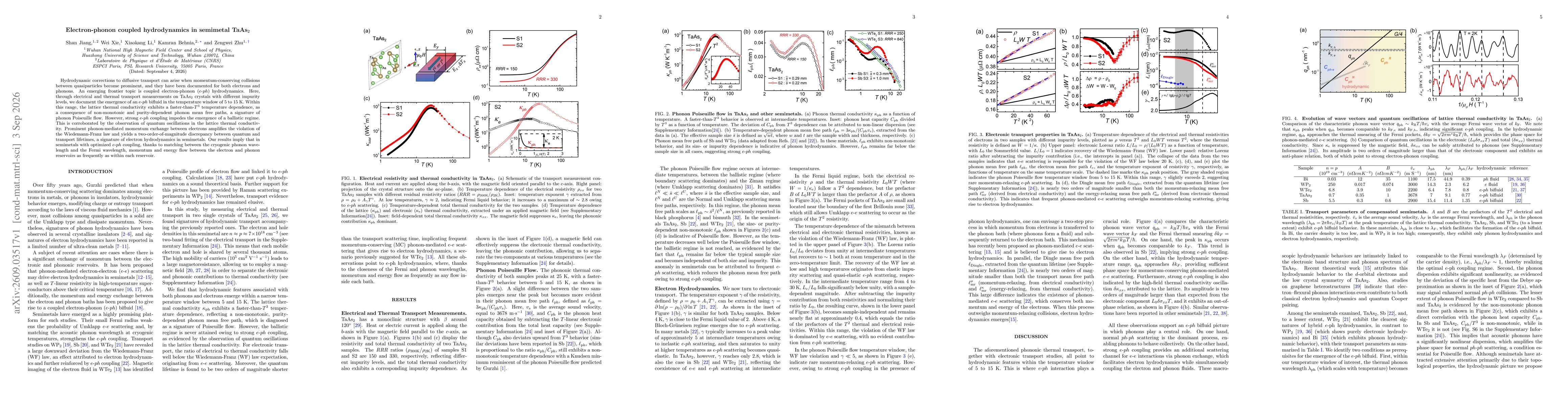 Thumbnail for Electron-phonon coupled hydrodynamics in semimetal TaAs_2