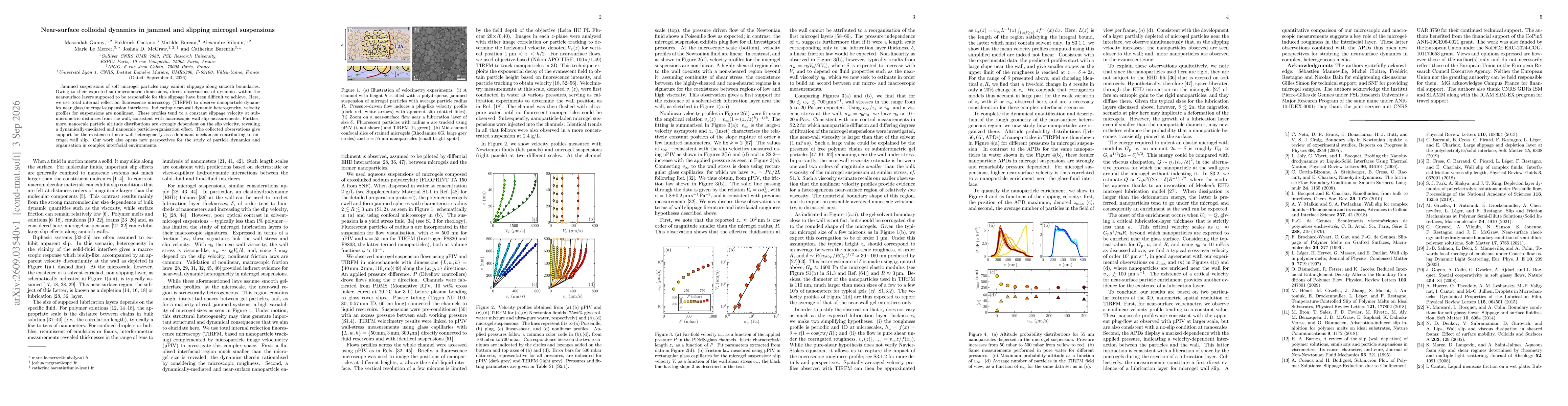 Thumbnail for Near-surface colloidal dynamics in jammed and slipping microgel suspensions