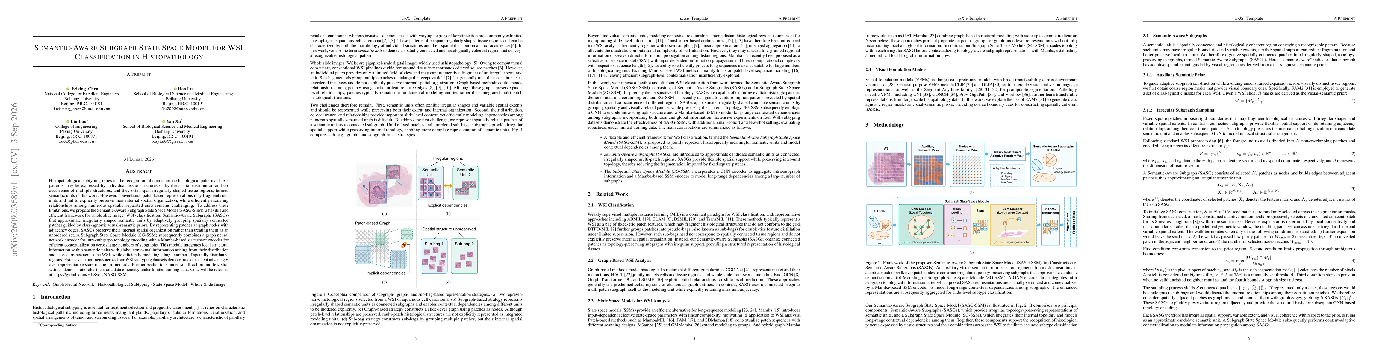 Thumbnail for Semantic-Aware Subgraph State Space Model for WSI Classification in Histopathology