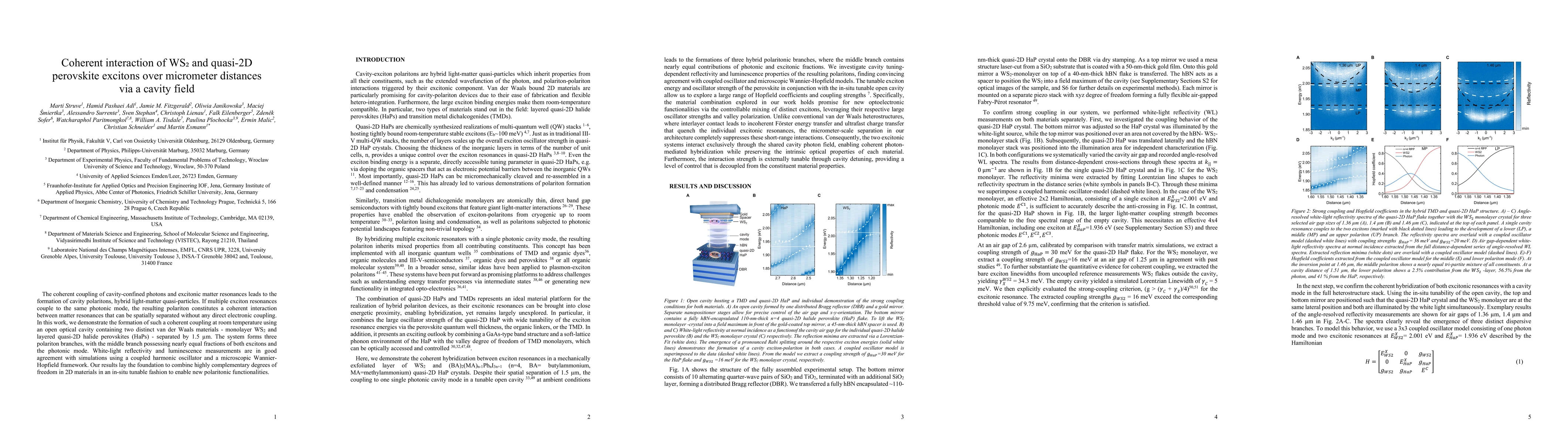 Thumbnail for Coherent interaction of WS$_2$ and quasi-2D perovskite excitons over micrometer distances via a cavity field