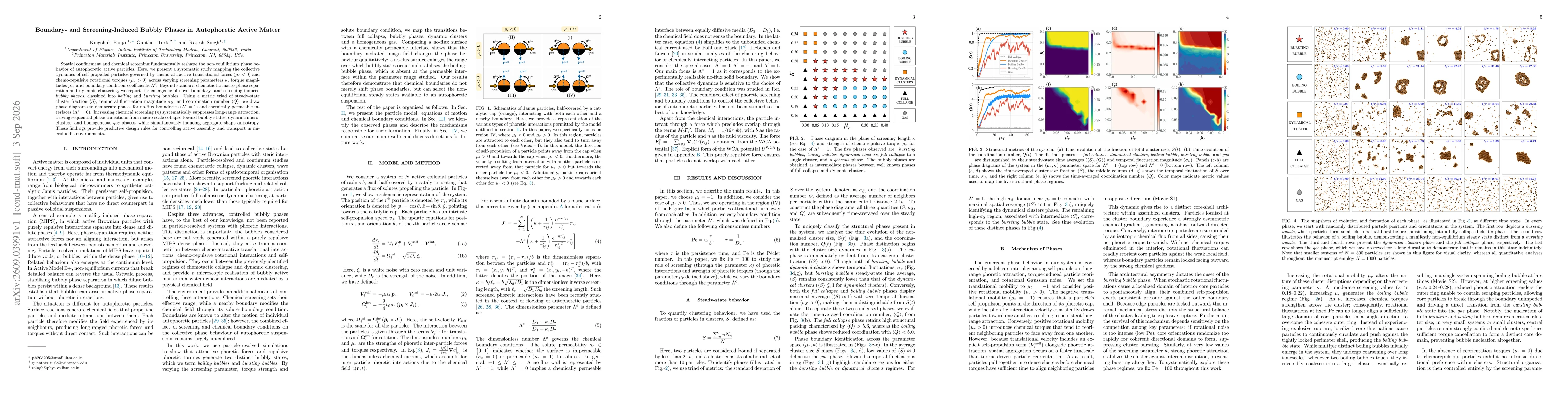 Thumbnail for Boundary- and Screening-Induced Bubbly Phases in Autophoretic Active Matter