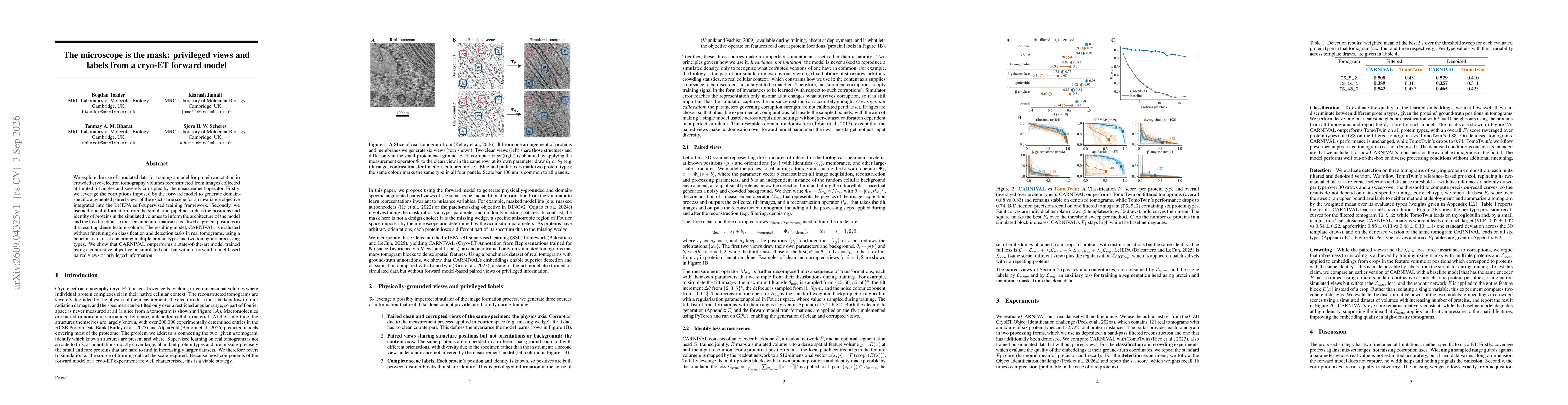 Thumbnail for The microscope is the mask: privileged views and labels from a cryo-ET forward model
