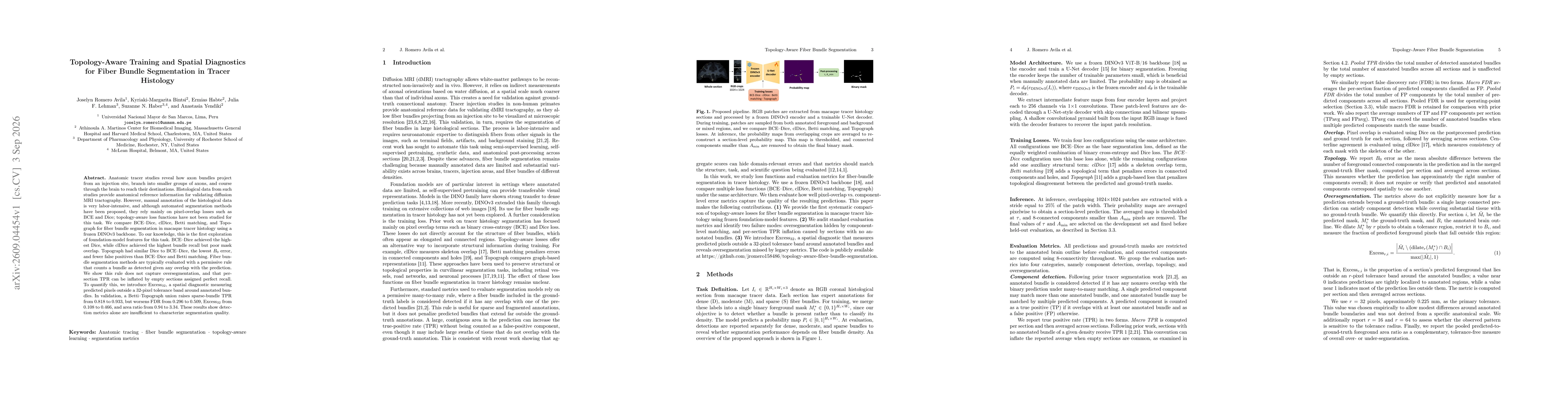 Thumbnail for Topology-Aware Training and Spatial Diagnostics for Fiber Bundle Segmentation in Tracer Histology