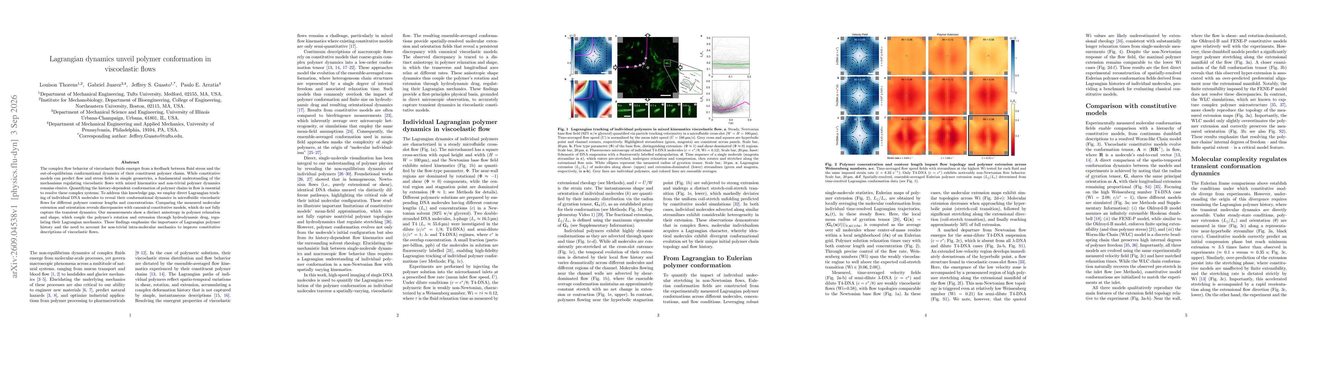 Thumbnail for Lagrangian dynamics unveil polymer conformation in viscoelastic flows