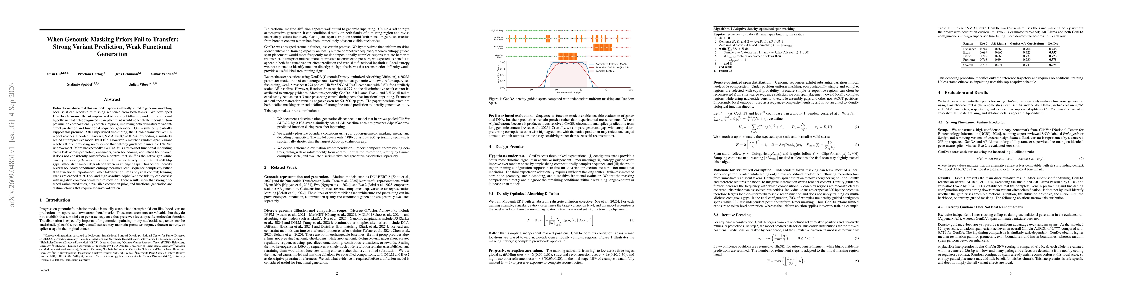 Thumbnail for When Genomic Masking Priors Fail to Transfer: Strong Variant Prediction, Weak Functional Generation