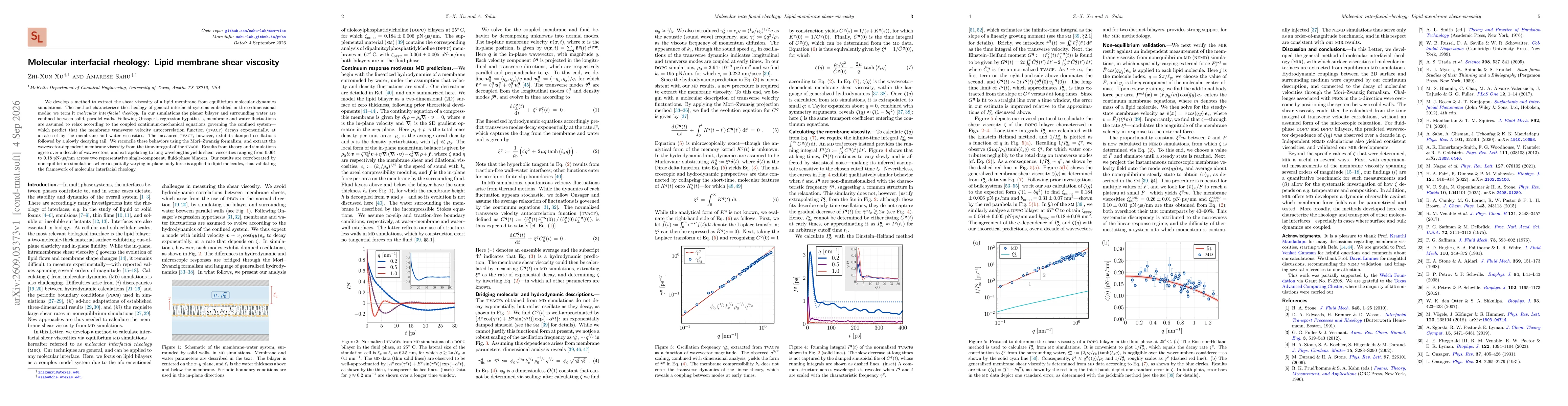 Thumbnail for Molecular interfacial rheology: Lipid membrane shear viscosity
