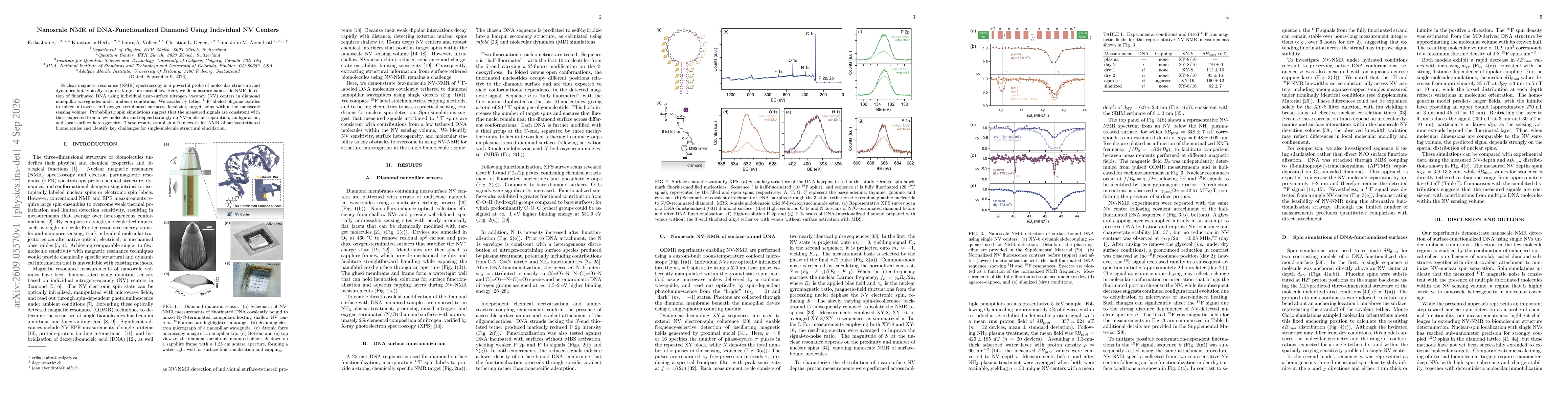 Thumbnail for Nanoscale NMR of DNA-Functionalized Diamond Using Individual NV Centers