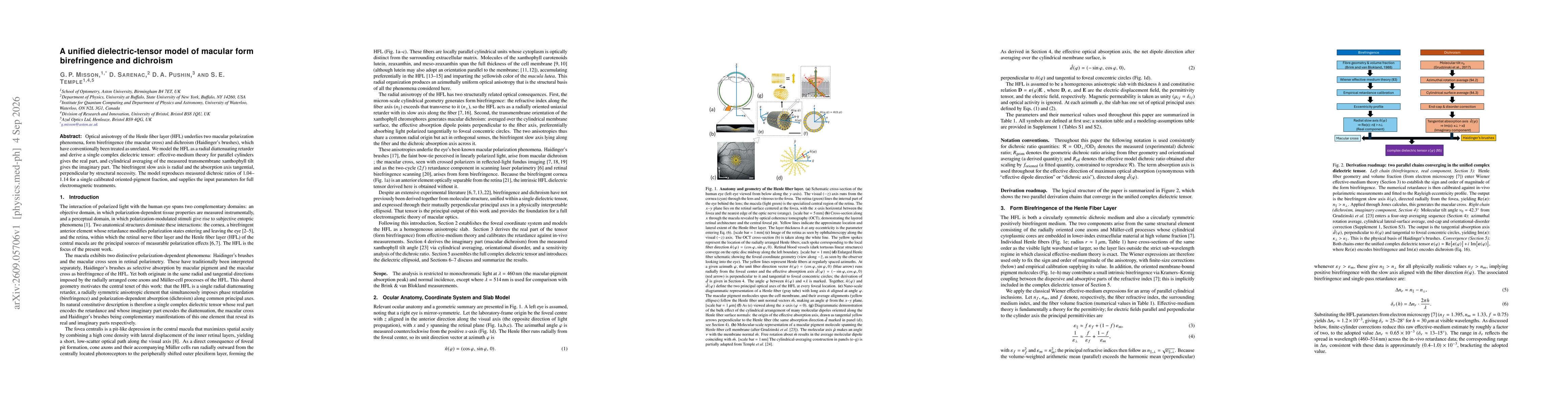 Thumbnail for A unified dielectric-tensor model of macular form birefringence and dichroism