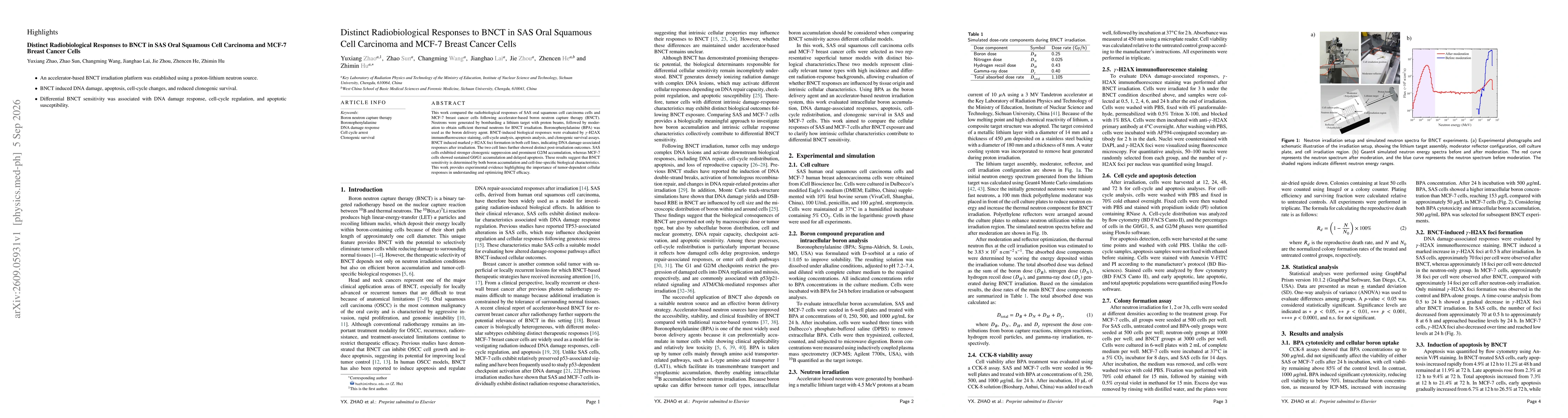 Thumbnail for Distinct Radiobiological Responses to BNCT in SAS Oral Squamous Cell Carcinoma and MCF-7 Breast Cancer Cells