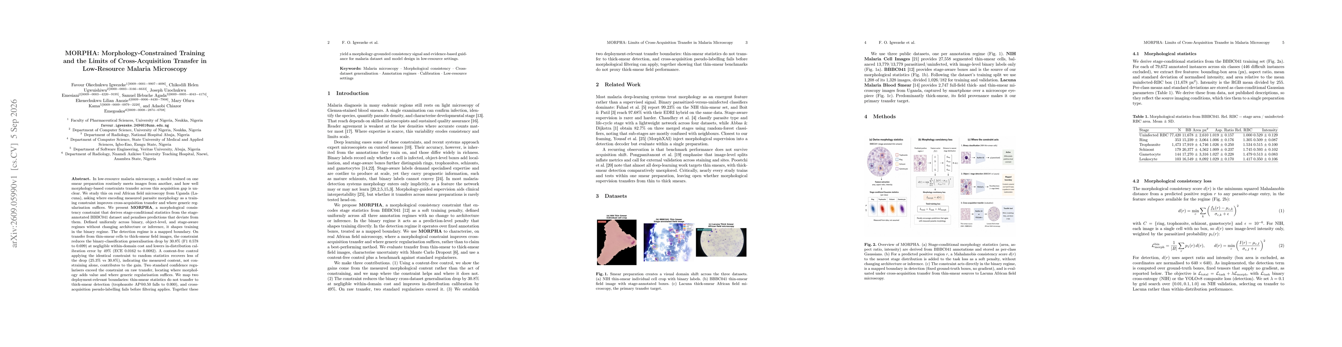 Thumbnail for MORPHA: Morphology-Constrained Training and the Limits of Cross-Acquisition Transfer in Low-Resource Malaria Microscopy