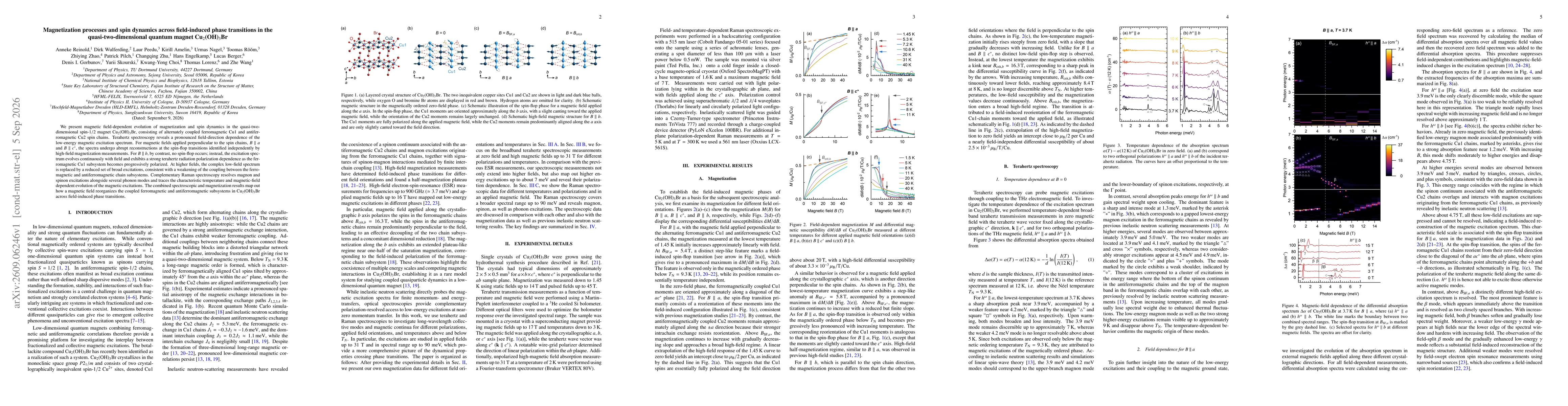 Thumbnail for Magnetization processes and spin dynamics across field-induced phase transitions in the quasi-two-dimensional quantum magnet Cu$_2$(OH)$_3$Br